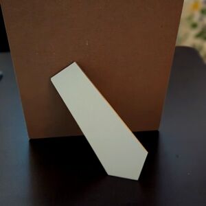 "Ladies" bathroom sign for party!